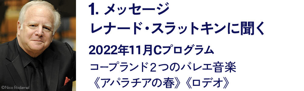 1|メッセージ|レナード・スラットキンに聞く